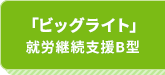 ビックライト