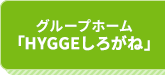 HYGGEしろがね