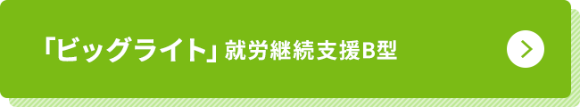 ビックライト
