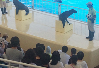 水族館見学